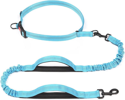 Retractable Hands Free Dog Leash - Dual Handle Bungee Waist Leash for Small, Medium and Large Dogs (Medium/Large, 25-150 Lbs, Orange)