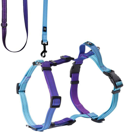 Dog Harness and Leash Set for Mediumn Dogs, No Pull Dog Harness Adjustable Reflective, Dog Halter Harnesses Comfort Padded Handle, Pet Harness for Training Outdoor Walking（Gsky-M