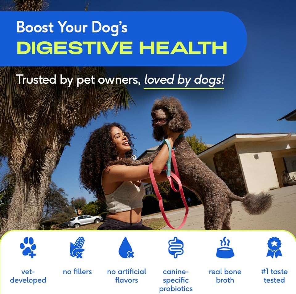 Probiotics for Dogs - Dog Probiotics Powder for Digestive Health, Gut Support, & Immune Boost – Vet-Formulated Powder for Maximum Potency with Digestive Enzymes & Prebiotics - 30 Scoops