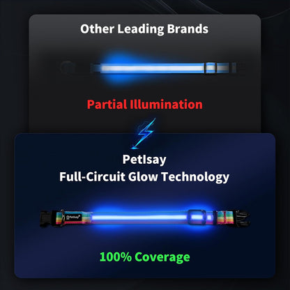 Premium LED Dog Collar for Night Walking - Light up Dog Collar Cycle 7 Solid Colors - Lighted Dog Collars USB C Rechargeable - Waterproof Glow in the Dark Dog Collars - Adjustable, Fashion, Safety(S)
