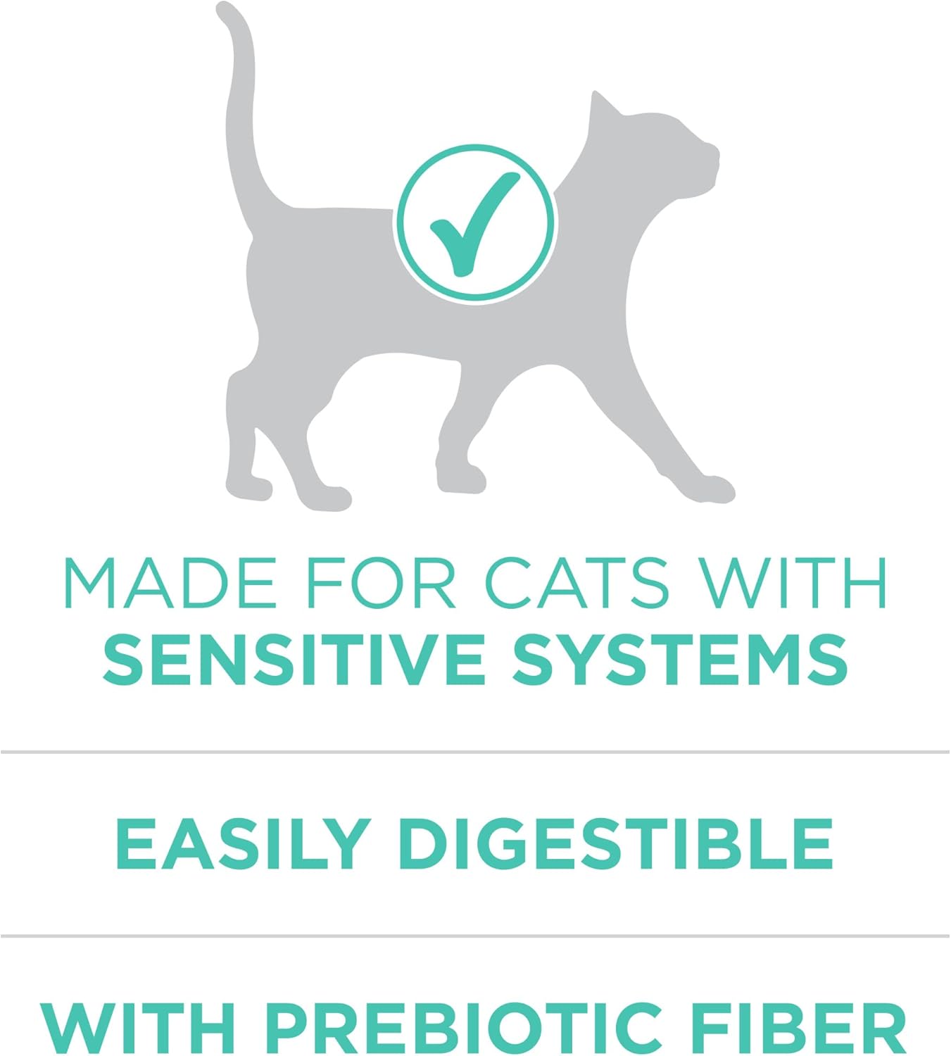 Purina ONE Sensitive Stomach, Sensitive Skin, Natural Dry Cat Food, +Plus Sensitive Skin and Stomach Formula 