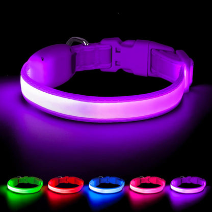 LED Dog Collar, Light up Dog Collar Adjustable USB Rechargeable Super Bright Safety Light Glowing Collars for Dogs