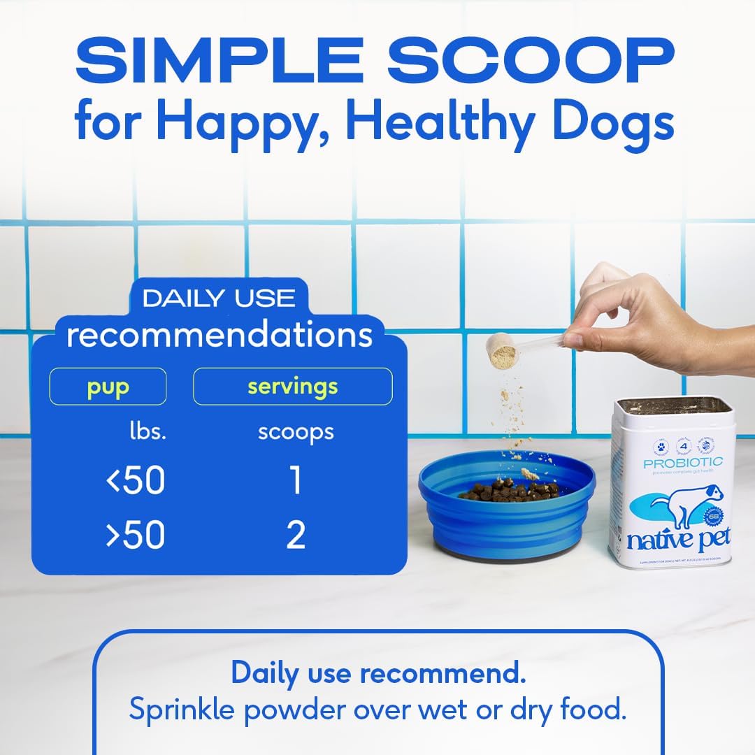 Probiotics for Dogs - Dog Probiotics Powder for Digestive Health, Gut Support, & Immune Boost – Vet-Formulated Powder for Maximum Potency with Digestive Enzymes & Prebiotics - 30 Scoops