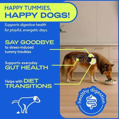 Probiotics for Dogs - Dog Probiotics Powder for Digestive Health, Gut Support, & Immune Boost – Vet-Formulated Powder for Maximum Potency with Digestive Enzymes & Prebiotics - 30 Scoops