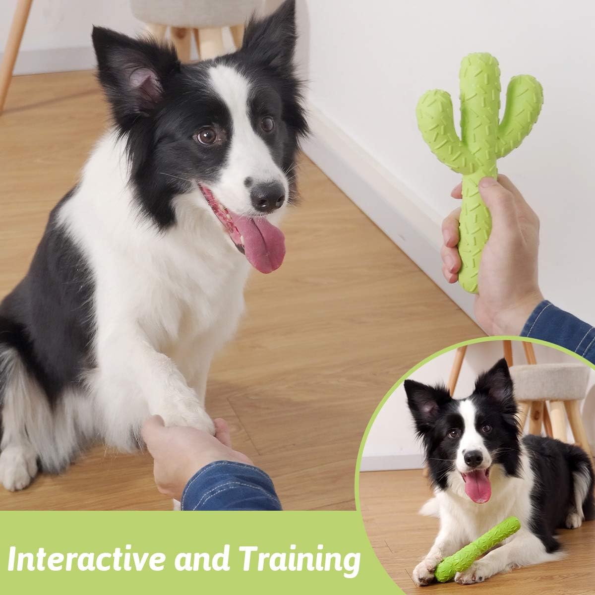 Dog Chew Toy, Durable Rubber Dog Toys for Aggressive Chewers, Cactus Tough Toys for Training and Cleaning Teeth