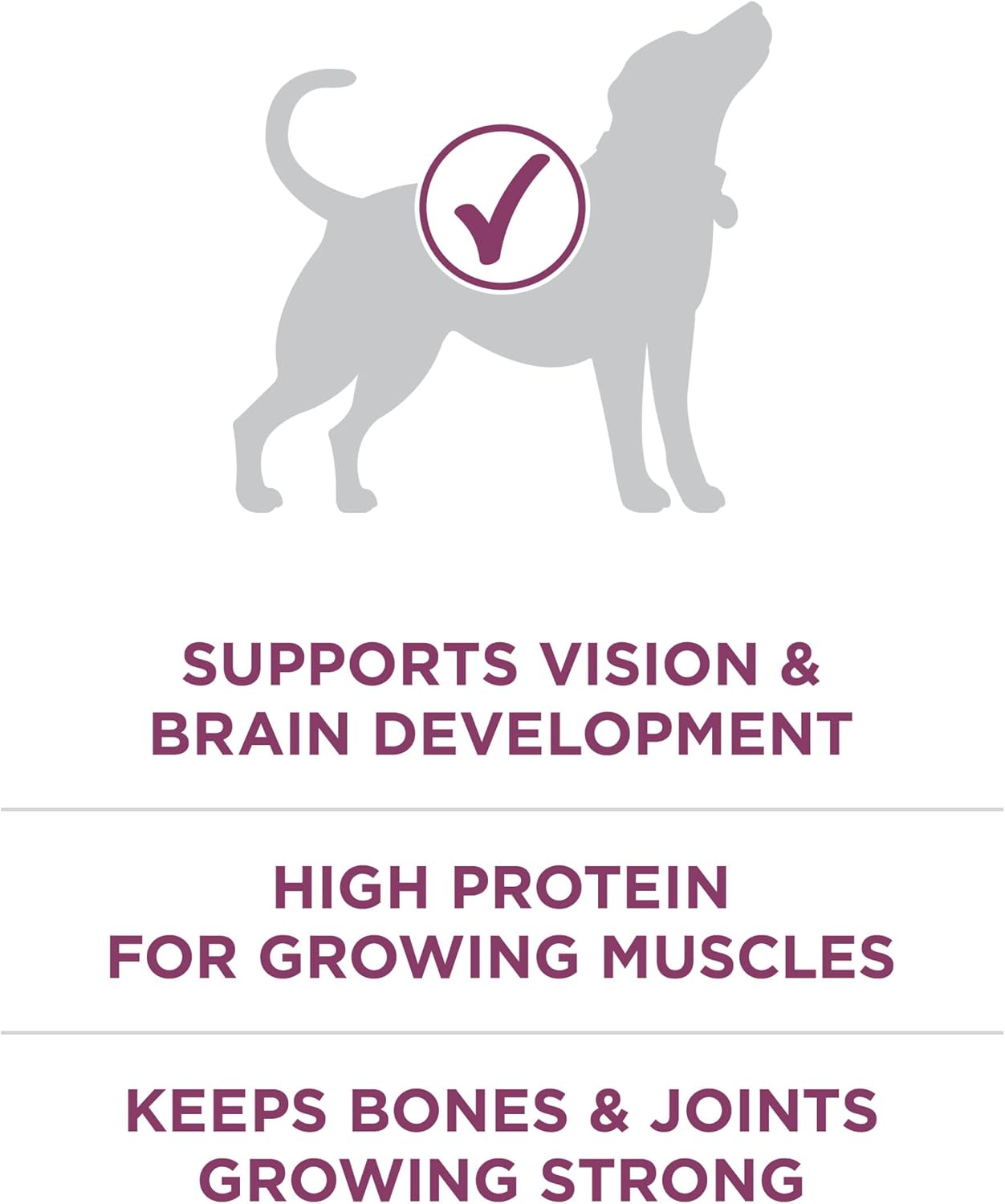 Purina ONE plus Healthy Puppy Formula High Protein Natural Dry Puppy Food with Added Vitamins, Minerals and Nutrients - 16.5 Lb. Bag