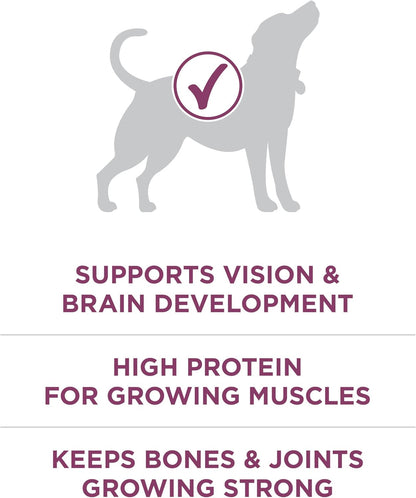 Purina ONE plus Healthy Puppy Formula High Protein Natural Dry Puppy Food with Added Vitamins, Minerals and Nutrients - 16.5 Lb. Bag