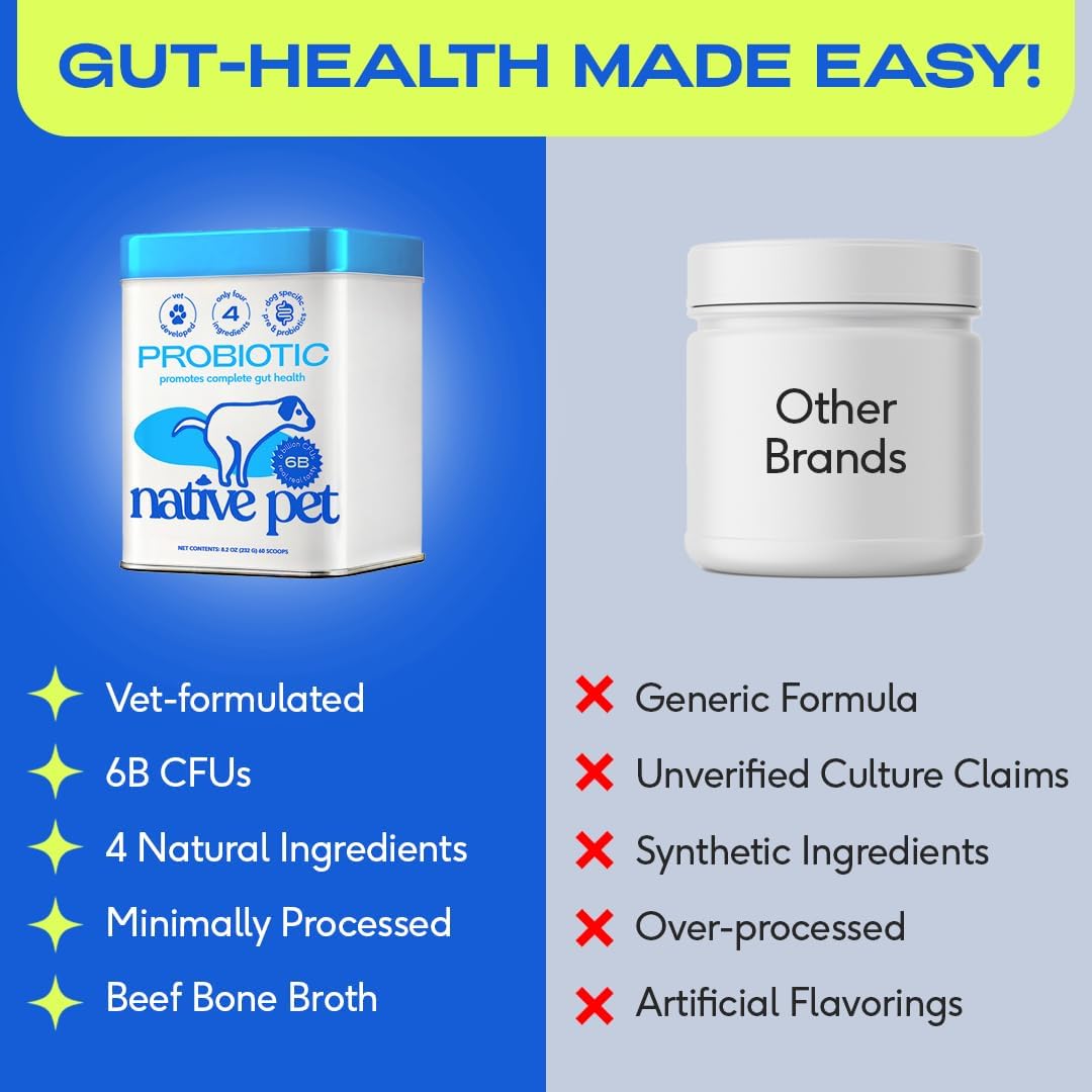 Probiotics for Dogs - Dog Probiotics Powder for Digestive Health, Gut Support, & Immune Boost – Vet-Formulated Powder for Maximum Potency with Digestive Enzymes & Prebiotics - 30 Scoops