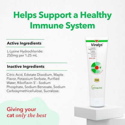 Viralys Daily L-Lysine Gel for Cats and Kittens, Maple Flavored Lysine Supplement for Cats and Kittens to Support Immune Health, Normal Eye Function and Respiratory Health, 5Oz