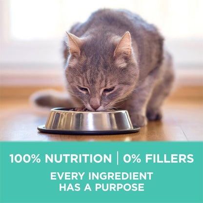 Purina ONE Sensitive Stomach, Sensitive Skin, Natural Dry Cat Food, +Plus Sensitive Skin and Stomach Formula 