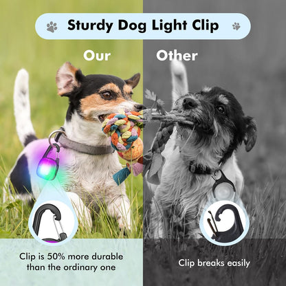 2 Pack LED Rechargeable Safety Dog Collar Light Clip with 4 Modes, Waterproof, Great for Night Walking