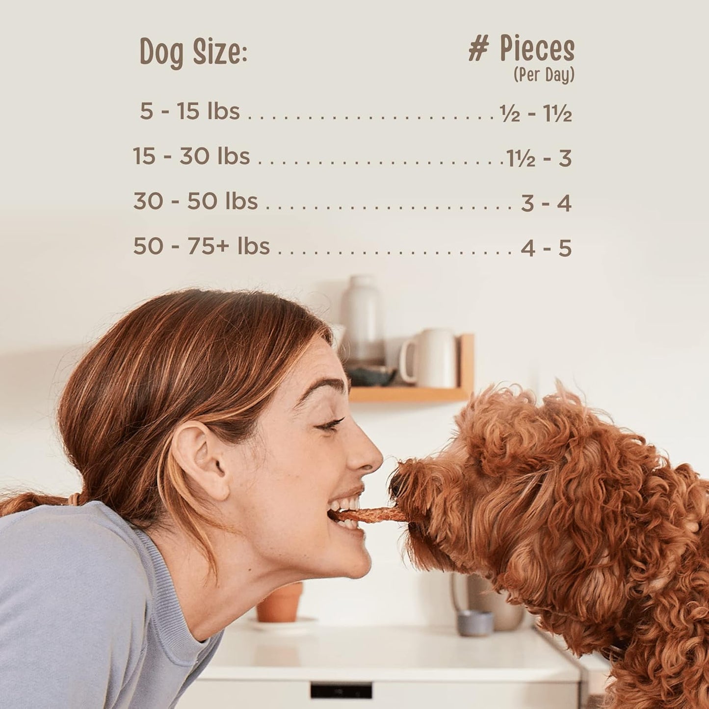 All Natural Human Grade Dog Treats, Essential Beef Savory Sticks, 22 Ounce, 1.375 Pound (Pack of 1)