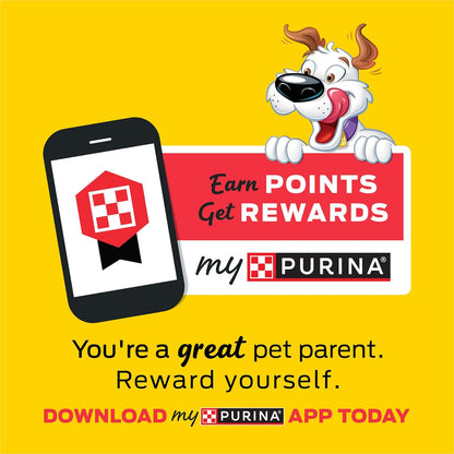 Purina Beggin' Strips With Real Bacon, Fun Size Original Bacon Flavor - 25 oz. Pouch