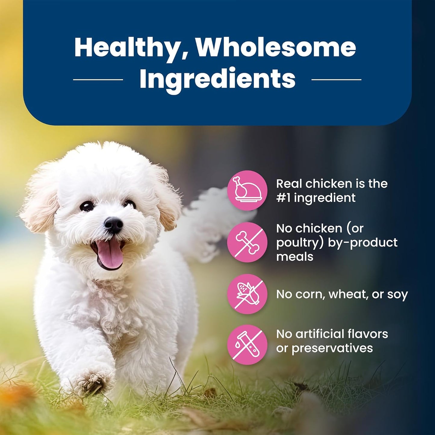 Life Protection Formula Adult Small Breed Dry Dog Food, Supports High Energy Needs, Made with Natural Ingredients, Chicken & Brown Rice Recipe, 15-Lb Bag