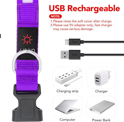 LED Dog Collar, Light up Dog Collar Adjustable USB Rechargeable Super Bright Safety Light Glowing Collars for Dogs