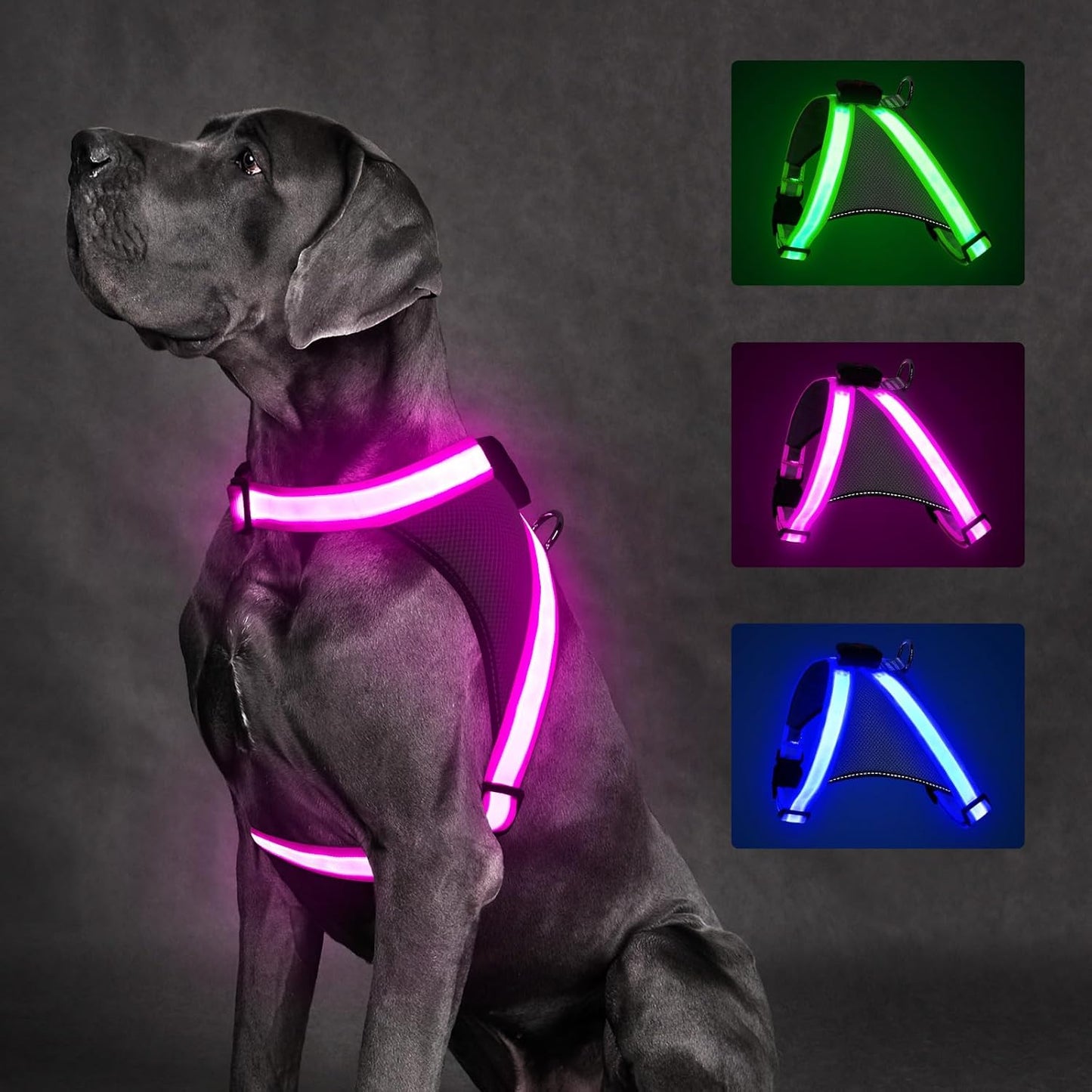 Light up Dog Harness, No Pull Led Dog Harness Glow-In-The-Dark for Night Walking, USB Rechargeable Lighted Safety Vest for Small Dogs, Adjustable Soft Mesh Fully Illuminated (Green, Small)