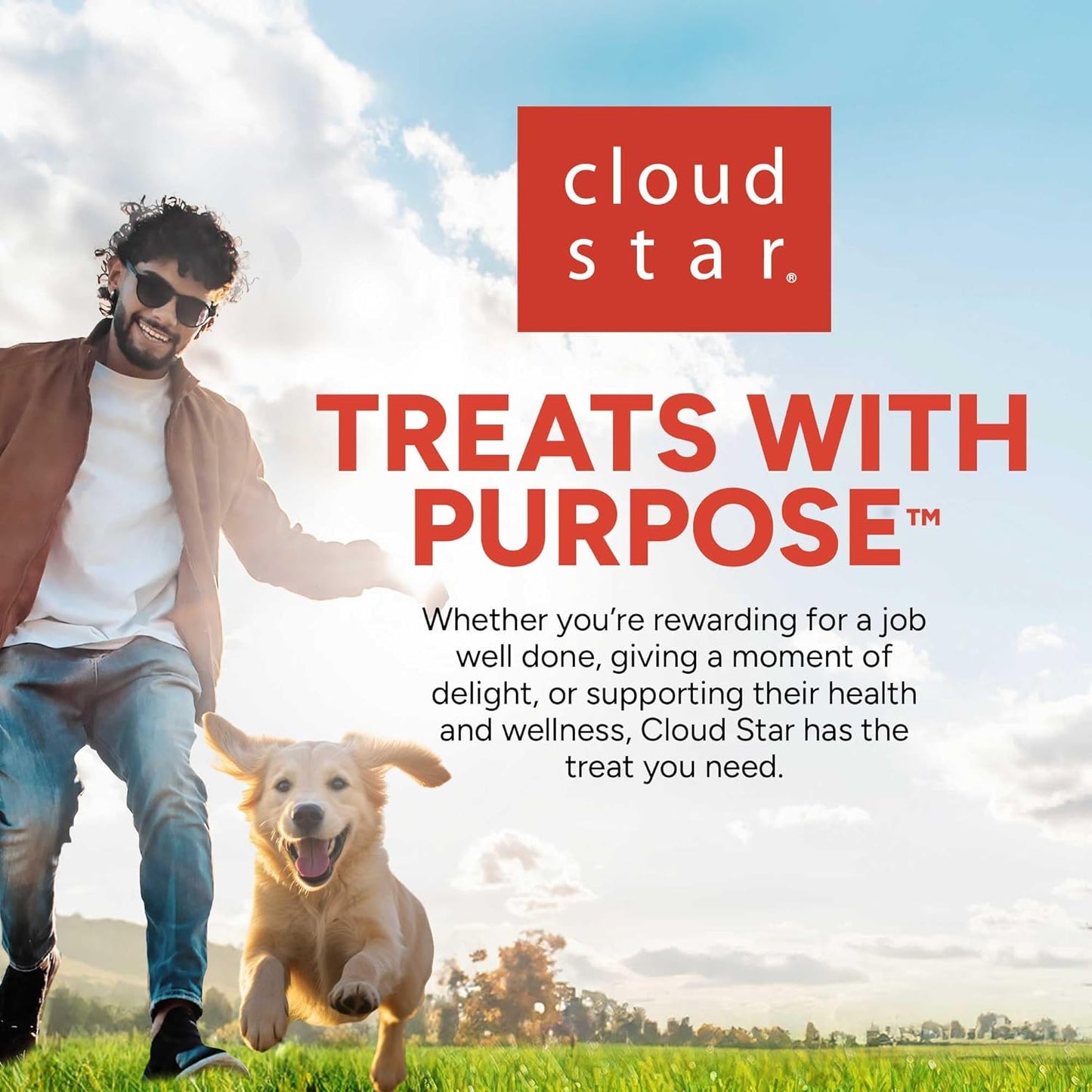 20 Oz. Pouch Training Reward Soft & Chewy, Chicken Flavor, with 500 Treats per Bag, the Choice of Top Trainers