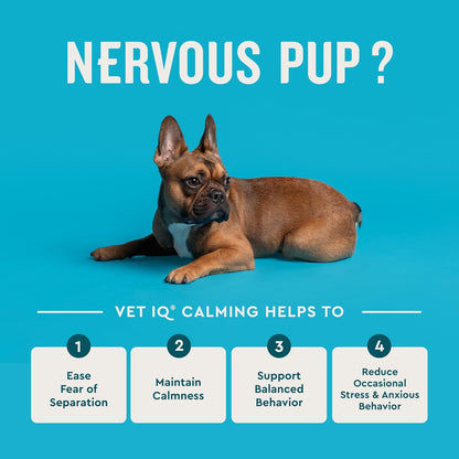 Calming Support Chews for Dogs, Anxiety Relief, 120Ct