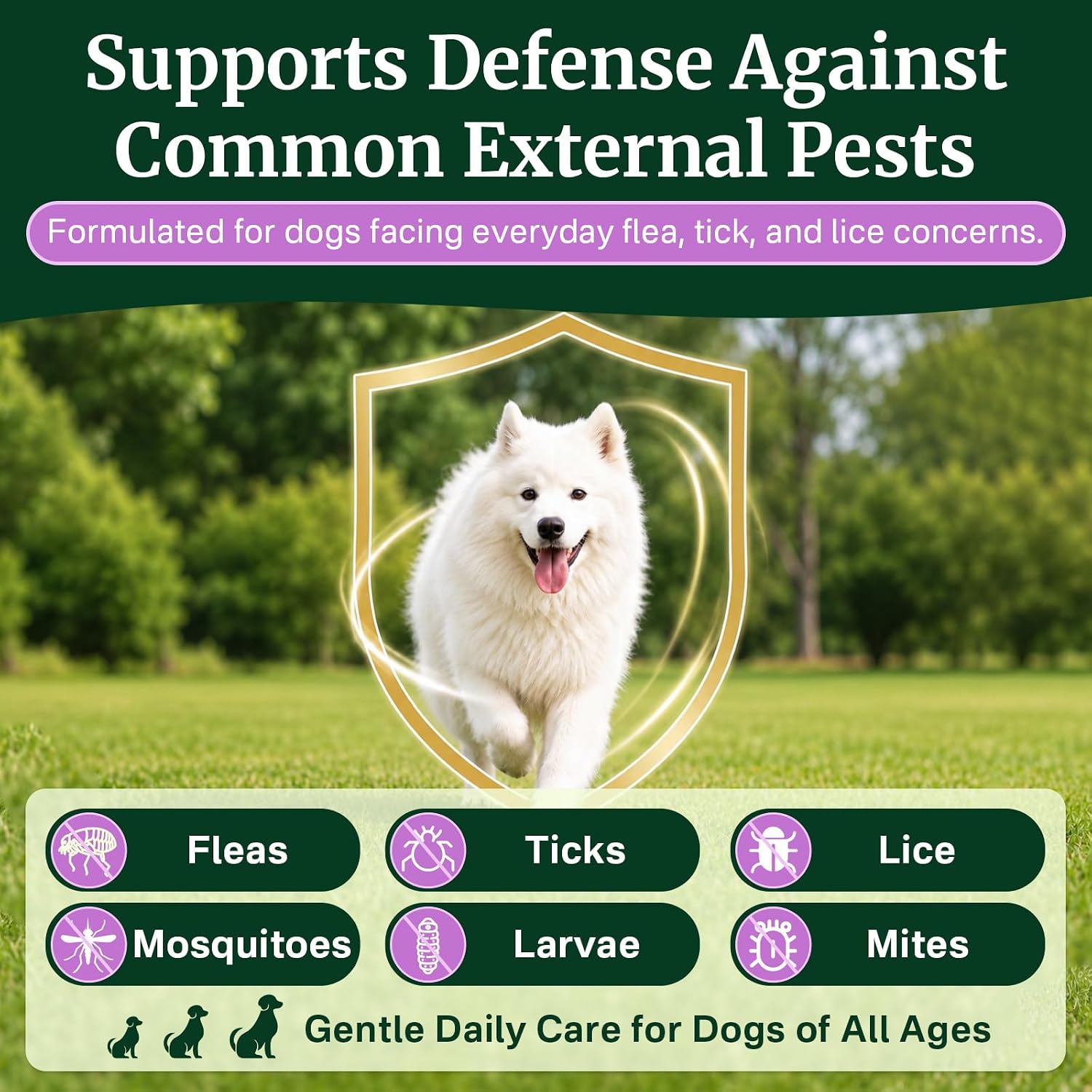 Flea and Tick Prevention for Dogs Chewables, Dog Flea and Tick Treatment
