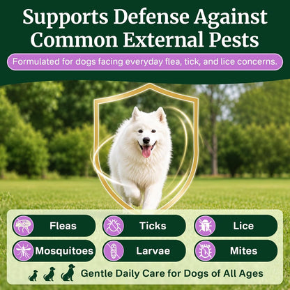 Flea and Tick Prevention for Dogs Chewables, Dog Flea and Tick Treatment