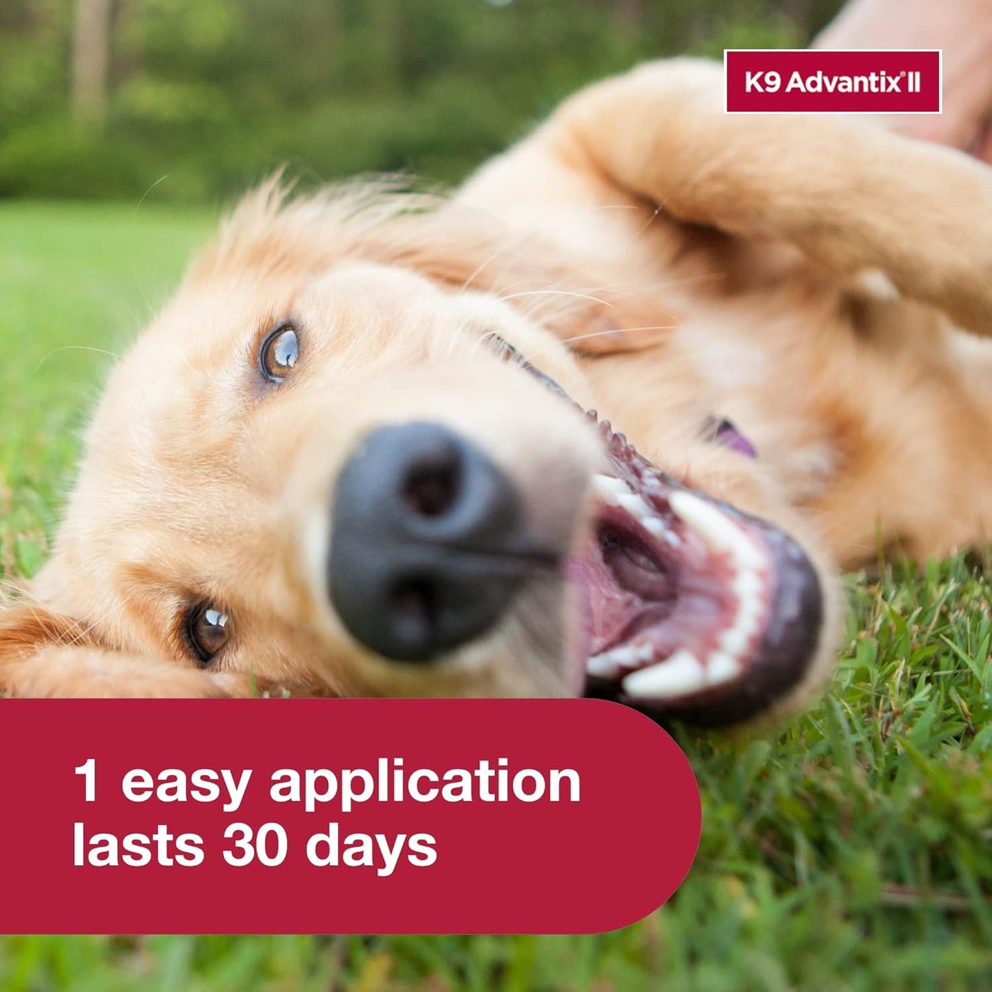 Large Dog Vet-Recommended Flea, Tick & Mosquito Treatment & Prevention | Dogs 21-55 Lbs. | 2-Mo Supply 