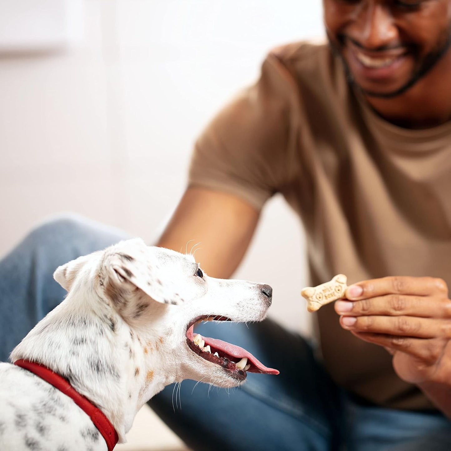 Milk-Bone Original Dog Treats Biscuits for Medium Dogs