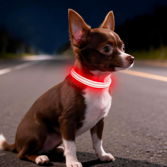 Light up Dog Collar for Small Dogs, LED Dog Collar Rechargeable Safety Dog Lights, Fully Adjustable Glow in the Dark Collars(X-Small)
