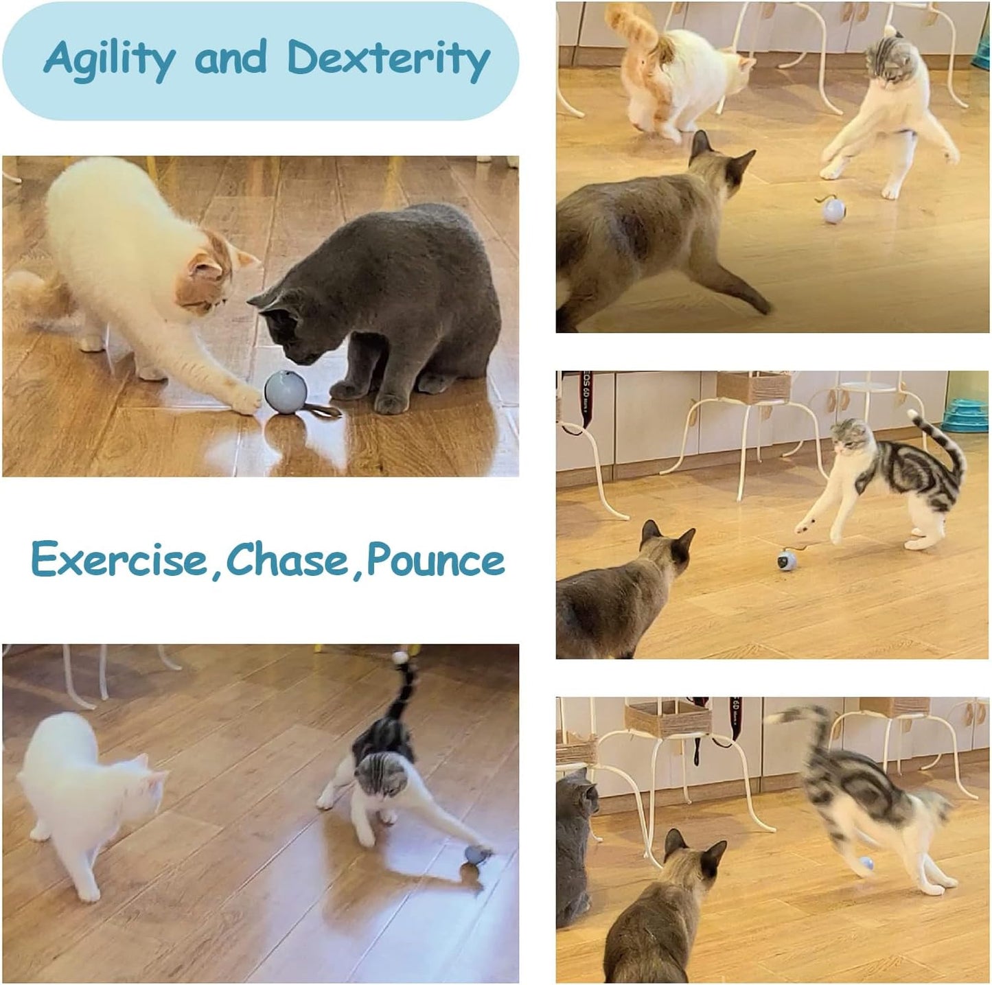 Interactive Cat Ball Toy Set, Fun Tracker, Automatic Rolling Chase Ball with Fluffy Tail, a Small Mice, Rechargeable 