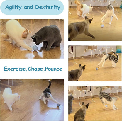 Interactive Cat Ball Toy Set, Fun Tracker, Automatic Rolling Chase Ball with Fluffy Tail, a Small Mice, Rechargeable 