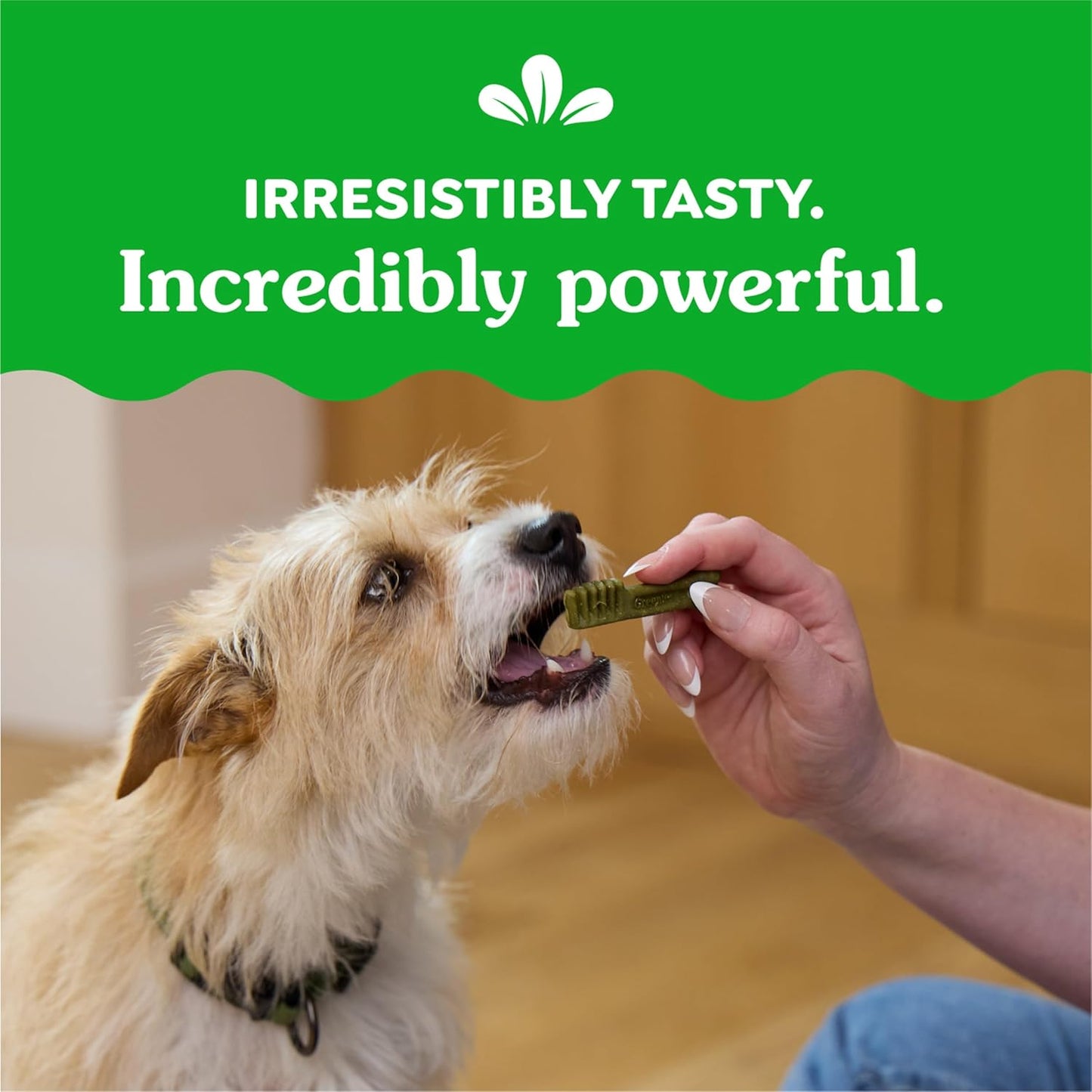 Original Teenie Dental Dog Treats, 12 Oz. Pack (43 Treats)