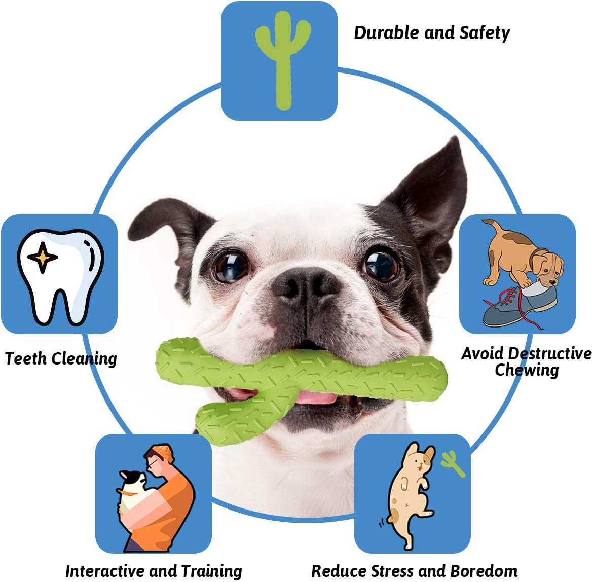Dog Chew Toy, Durable Rubber Dog Toys for Aggressive Chewers, Cactus Tough Toys for Training and Cleaning Teeth