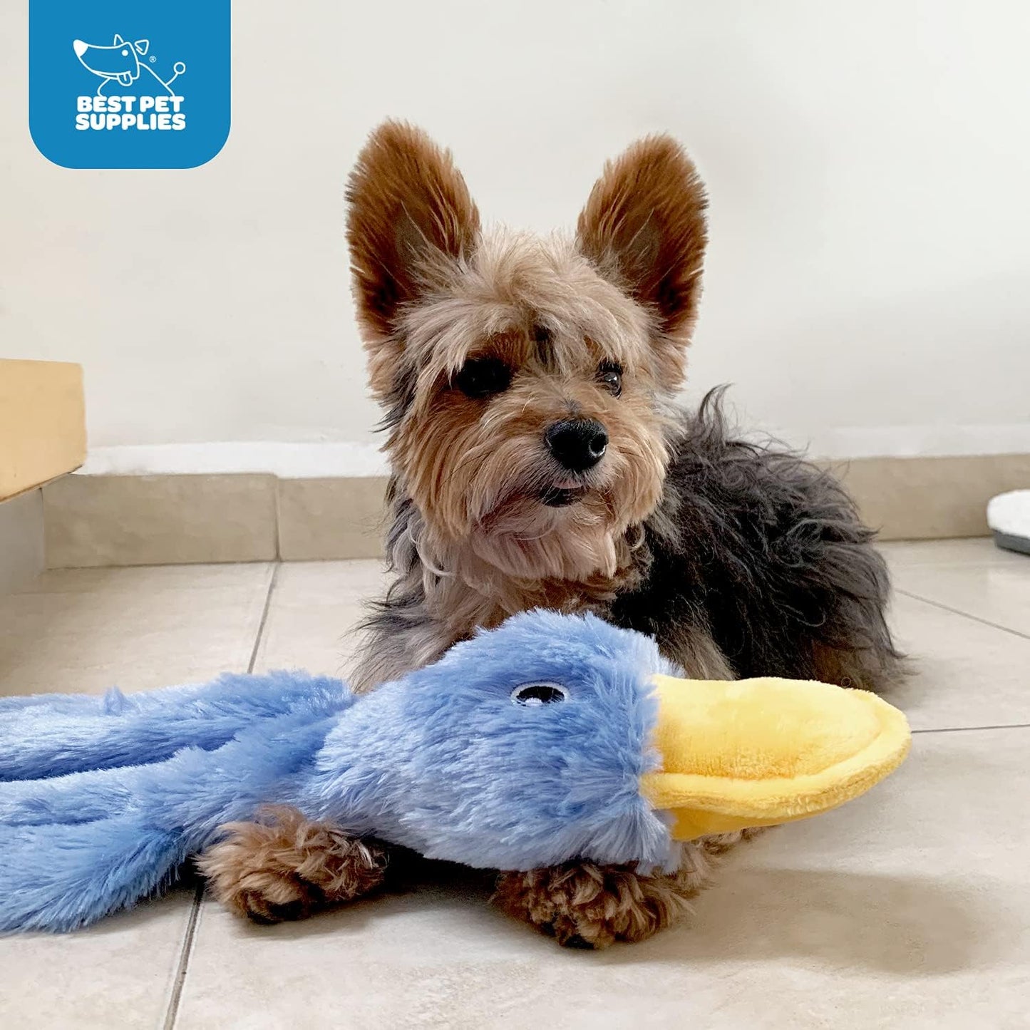 Interactive Squeaky Dog Chew Toy, Ideal Dog Toys for Chewers, Small, Medium & Large Dogs, and Fetch Lovers - Crinkle Duck (Blue), Large