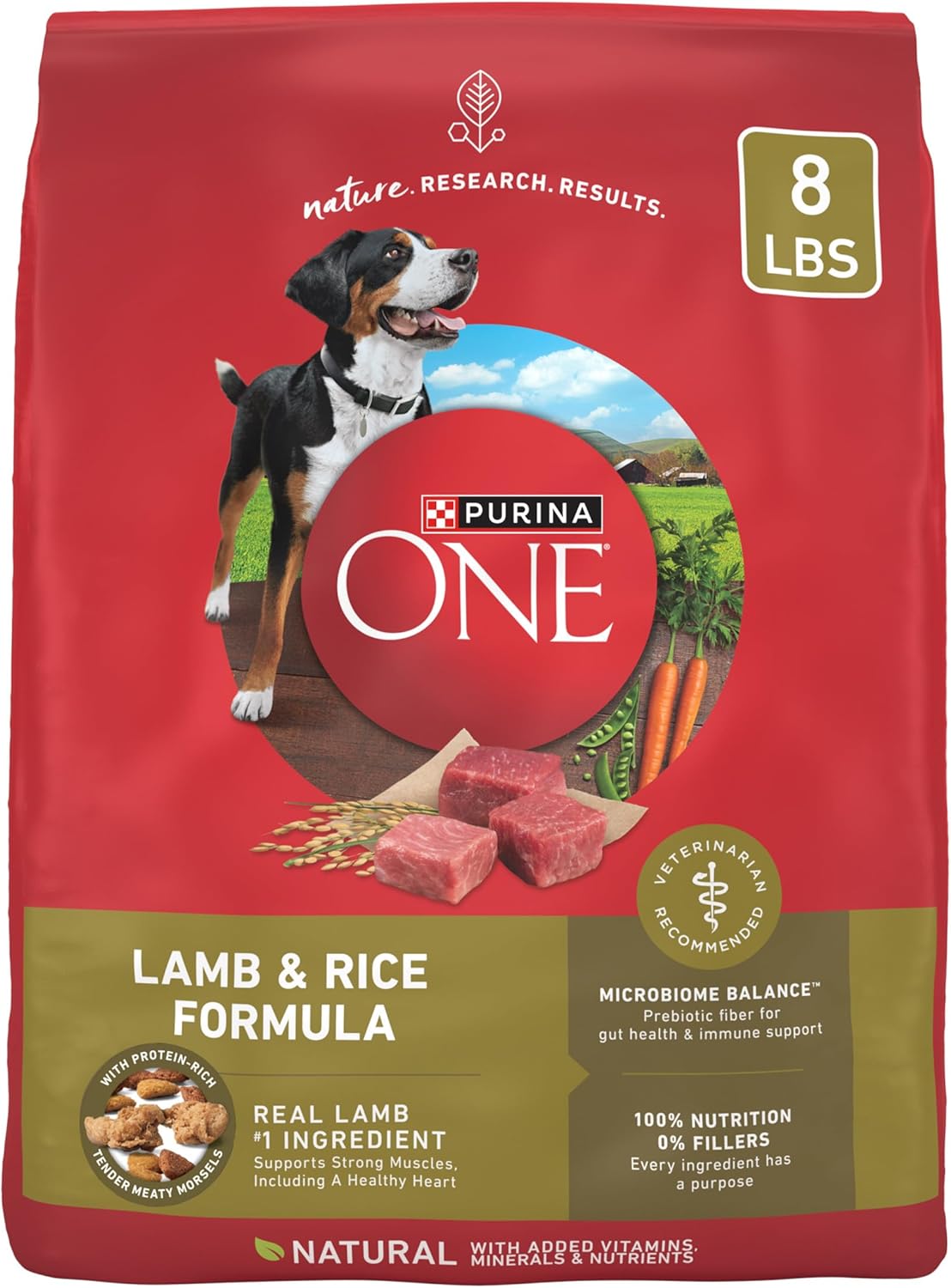Purina ONE Dry Dog Food Lamb and Rice Formula 