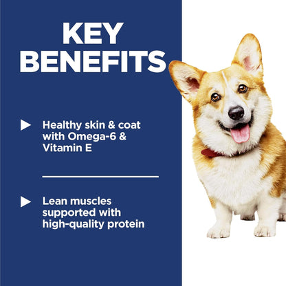 Adult 1-6, Adult 1-6 Premium Nutrition, Small Kibble, Dry Dog Food, Chicken & Barley, 15 Lb Bag