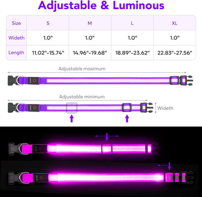 LED Dog Collar, Light up Dog Collar Adjustable USB Rechargeable Super Bright Safety Light Glowing Collars for Dogs