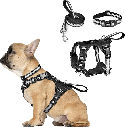 Pet Harness Collar and Leash Set, All-In-One Reflective Dog Harness No Pull with Adjustable Buckles, Small, Medium, Large, and Extra-Large Dogs (Black)