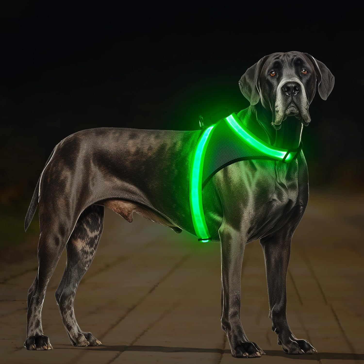 Light up Dog Harness, No Pull Led Dog Harness Glow-In-The-Dark for Night Walking, USB Rechargeable Lighted Safety Vest for Small Dogs, Adjustable Soft Mesh Fully Illuminated (Green, Small)