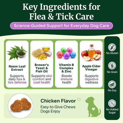 Flea and Tick Prevention for Dogs Chewables, Dog Flea and Tick Treatment