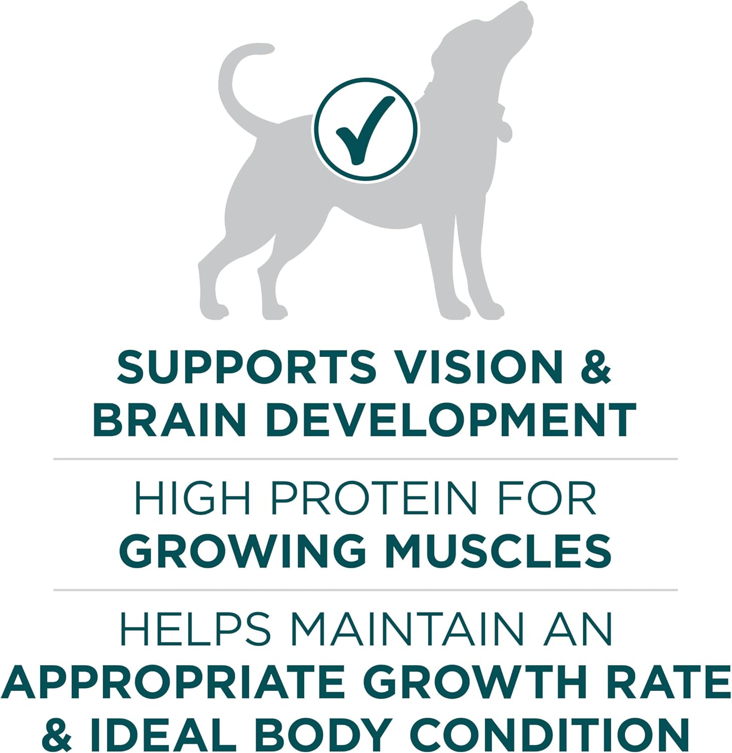 Purina ONE plus Large Breed Puppy Food Dry Formula 