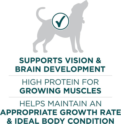 Purina ONE plus Large Breed Puppy Food Dry Formula 