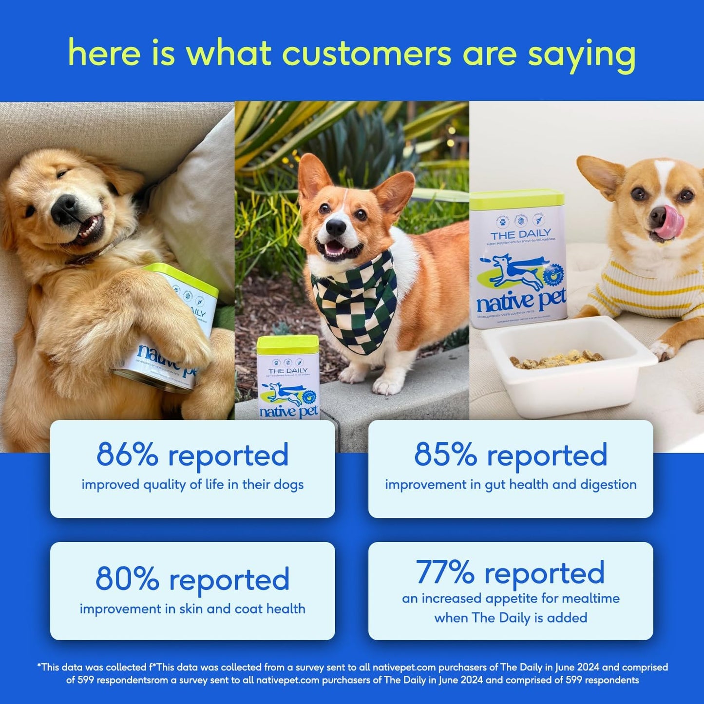 Dog Vitamins & Supplements - 11-In-1 Vitamin Powder for Dog Food Topper - Collagen, Glucosamine, Probiotics, Omega & More- Supports Healthy Gut, Mobility & Overall Health - 30 Scoops