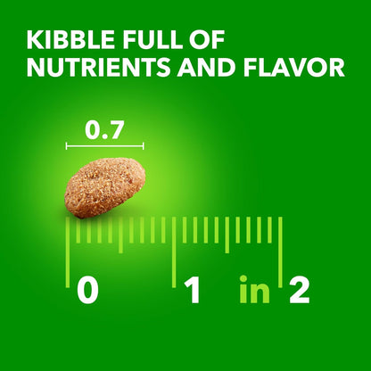 Proactive Health Healthy Aging Large Breed Dog Food for Mature and Senior Dogs with Real Chicken, 15 Lb. Bag