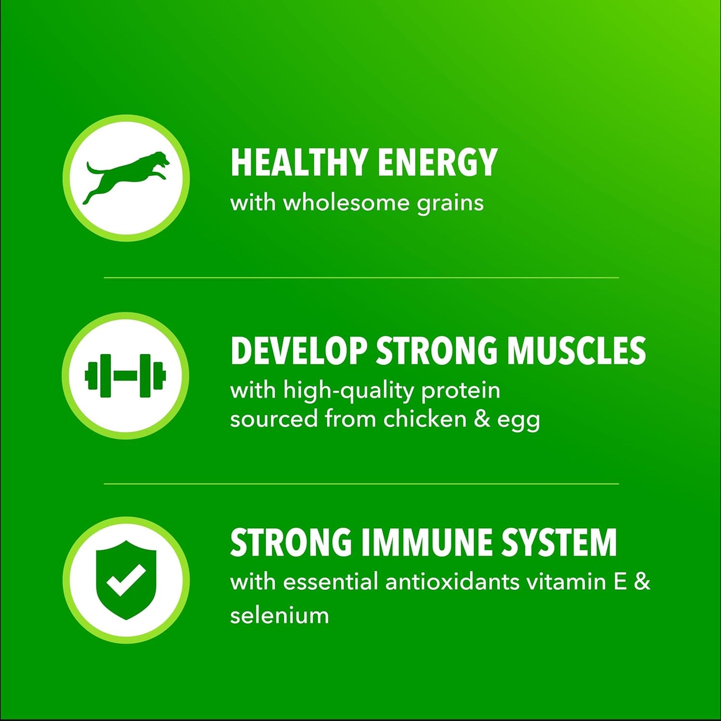 IAMS Proactive Health Adult Minichunks Dry Dog Food Chicken & Whole Grain Recipe