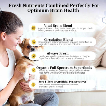 Dog Brain Health Soft Chews with Norwegian Salmon Oil, Daily Nutritional Support Treats for Adult and Senior Dogs, Salmon Flavor, Soy Free, Palm Oil Free, 60 Count