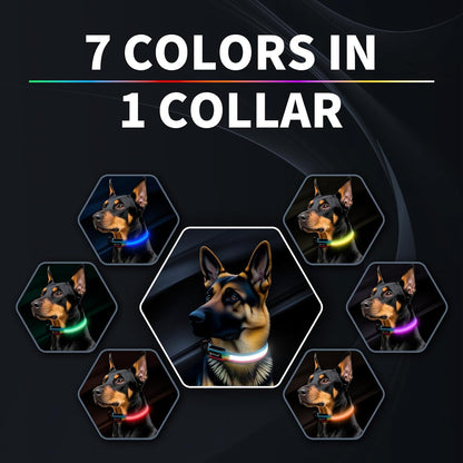 Premium LED Dog Collar for Night Walking - Light up Dog Collar Cycle 7 Solid Colors - Lighted Dog Collars USB C Rechargeable - Waterproof Glow in the Dark Dog Collars - Adjustable, Fashion, Safety(S)