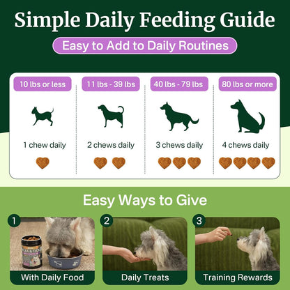 Flea and Tick Prevention for Dogs Chewables, Dog Flea and Tick Treatment