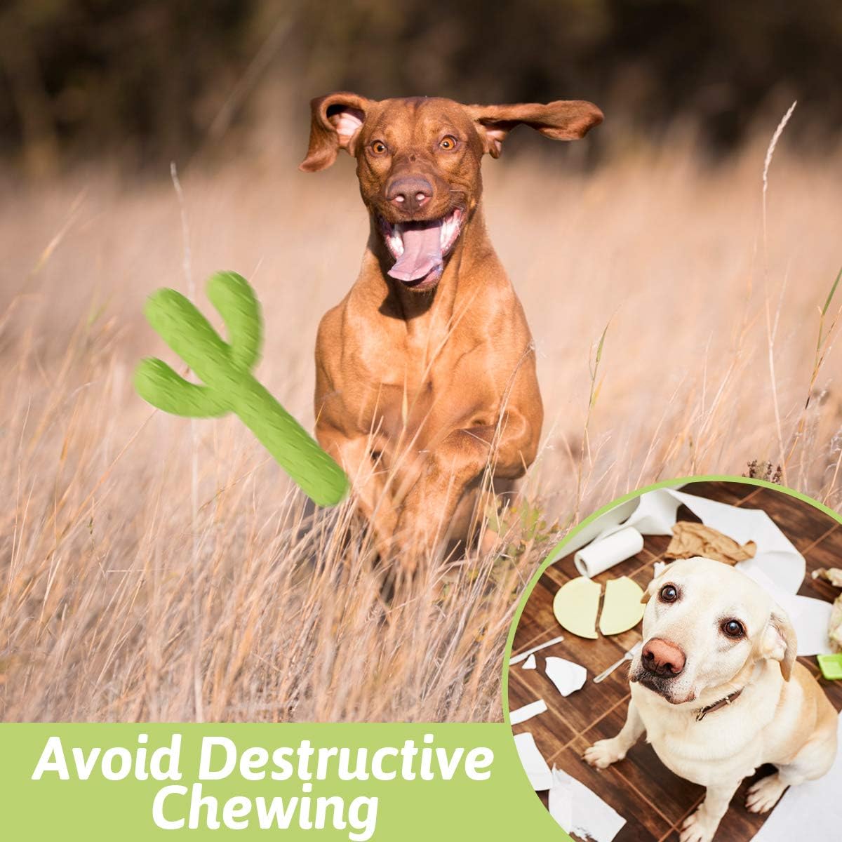 Dog Chew Toy, Durable Rubber Dog Toys for Aggressive Chewers, Cactus Tough Toys for Training and Cleaning Teeth