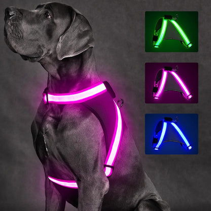Light up Dog Harness, No Pull Led Dog Harness Glow-In-The-Dark for Night Walking, USB Rechargeable Lighted Safety Vest for Small Dogs, Adjustable Soft Mesh Fully Illuminated (Green, Small)