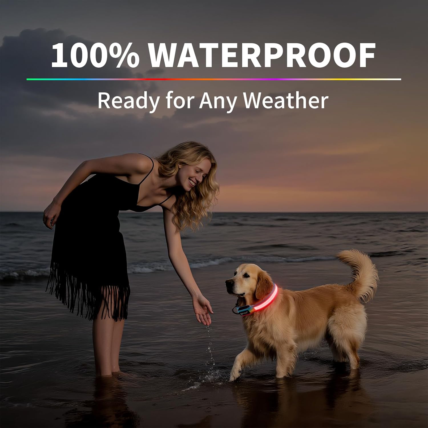 Premium LED Dog Collar for Night Walking - Light up Dog Collar Cycle 7 Solid Colors - Lighted Dog Collars USB C Rechargeable - Waterproof Glow in the Dark Dog Collars - Adjustable, Fashion, Safety(S)