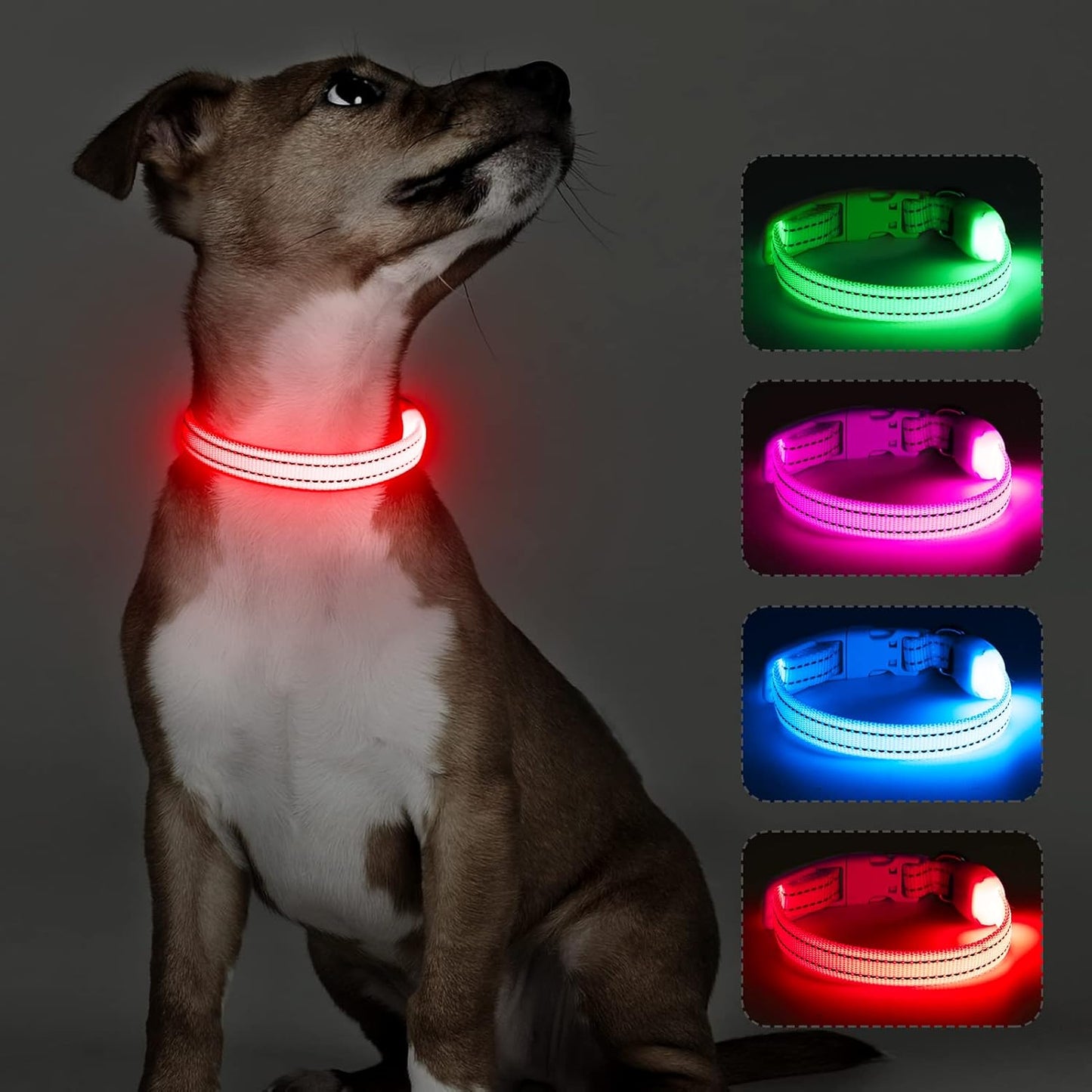 Light up Dog Collar for Small Dogs, LED Dog Collar Rechargeable Safety Dog Lights, Fully Adjustable Glow in the Dark Collars(X-Small)